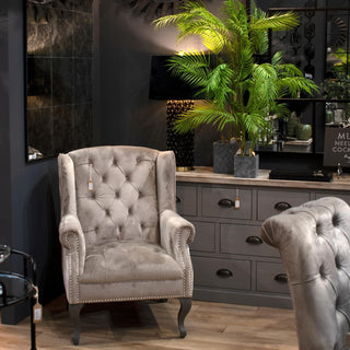 Paradise Potted Palm, Large