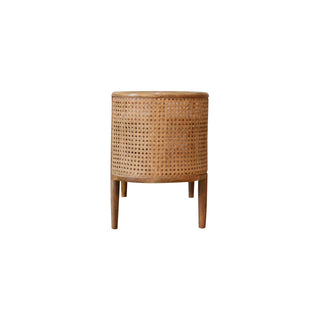 Larissa Mango Wood and Rattan Shelving Unit